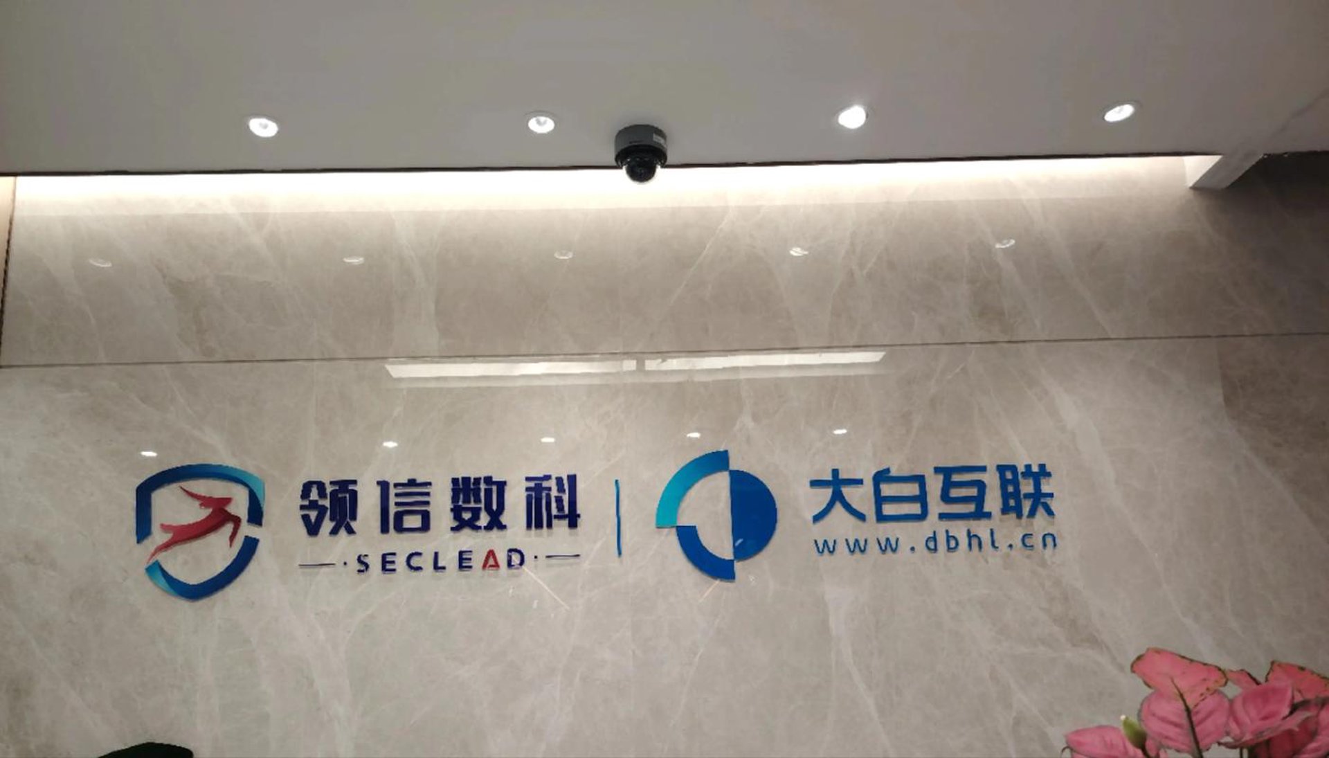信哪儿科技
